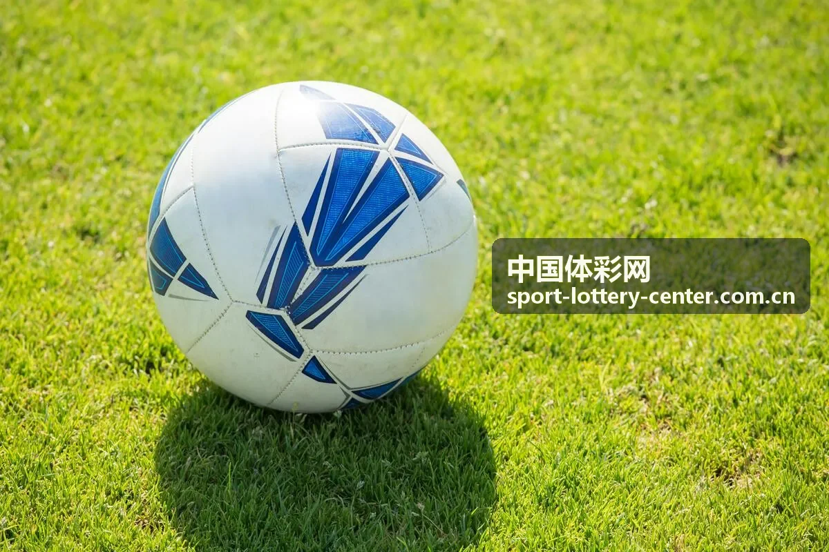 中国体彩网体彩数据指南封面图